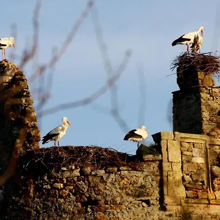 Normand'histoire 1869 * Isigny-sur-Mer