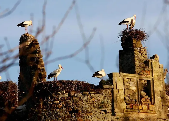 Normand'histoire 1869 * イシニー・シュル・メール